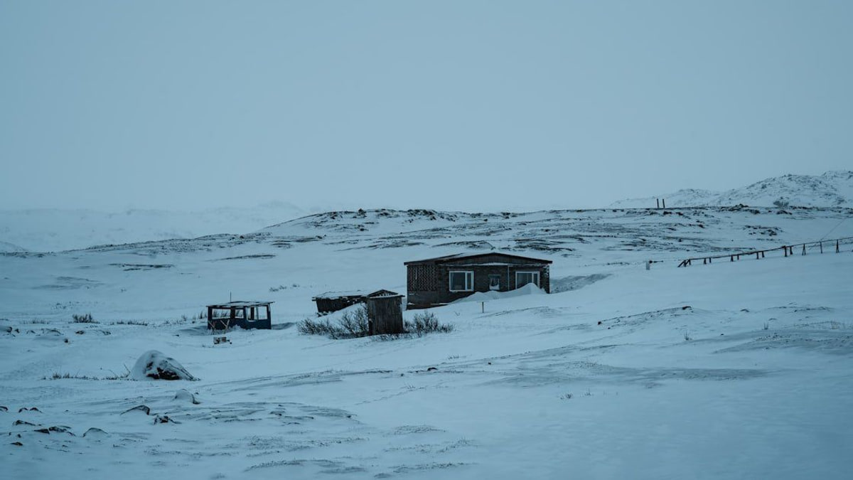 OpenAI Parks COO in 'Special Projects' Siberia — Tech satirical illustration · MEDIUM tier · Roast Station editorial